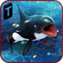 Killer Whale Beach Attack 3D