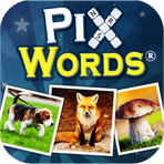 PixWords (1 фото 1 слово)